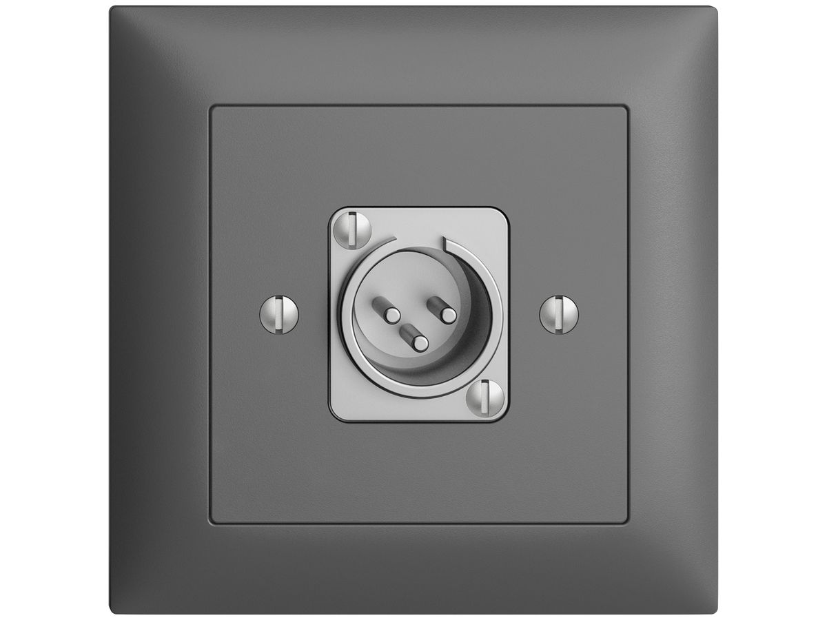 UP-Dose mit XLR-Stecker EDIZIOdue dunkelgrau