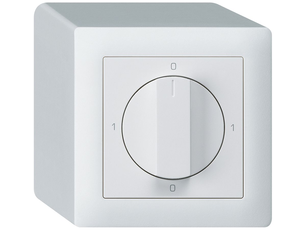 AP-Drehschalter kallysto 5/1L weiss mit Drehgriff