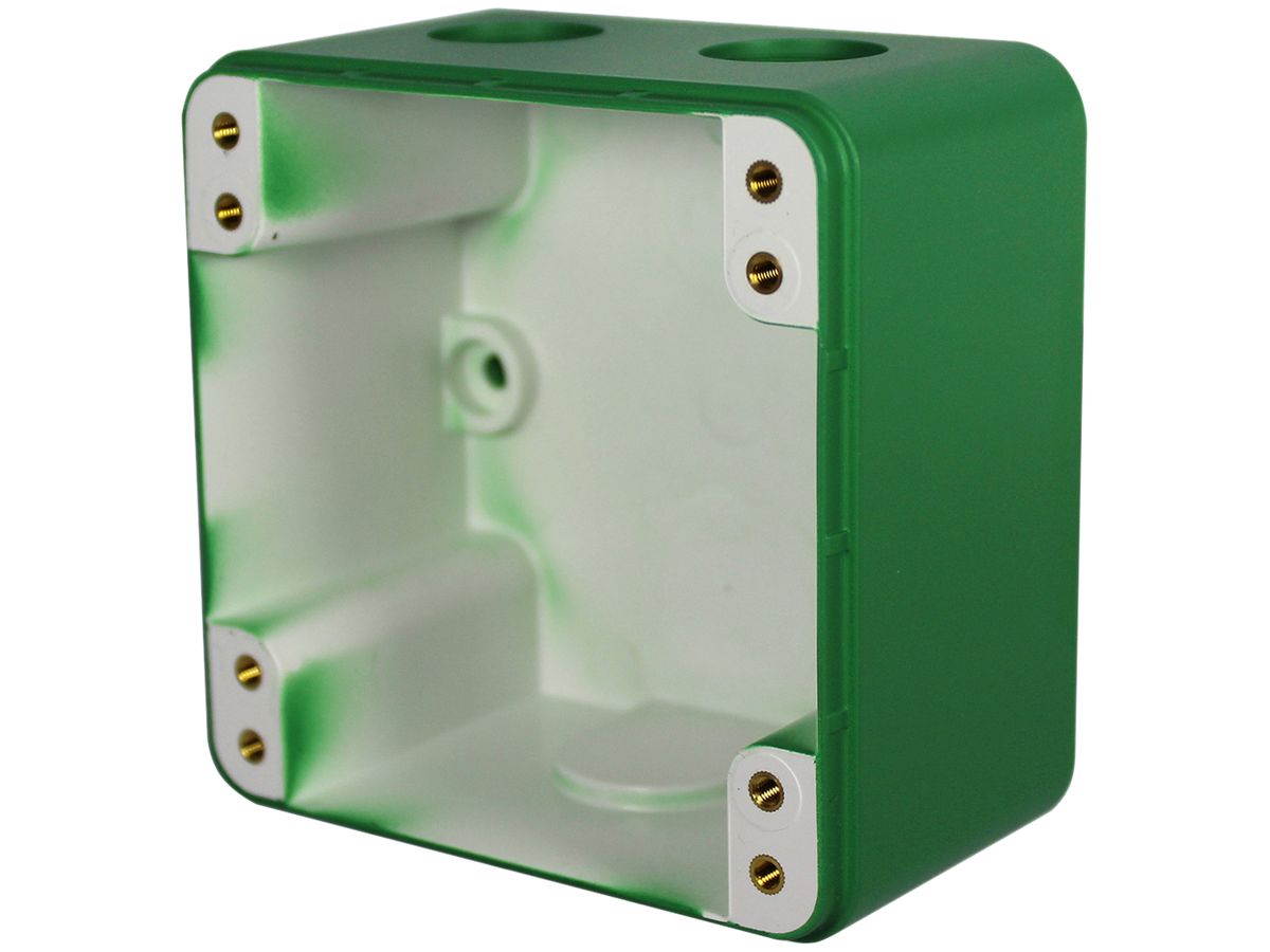 AP-Rahmen BSW robusto, 1×1 86×86×60mm IP55, grün