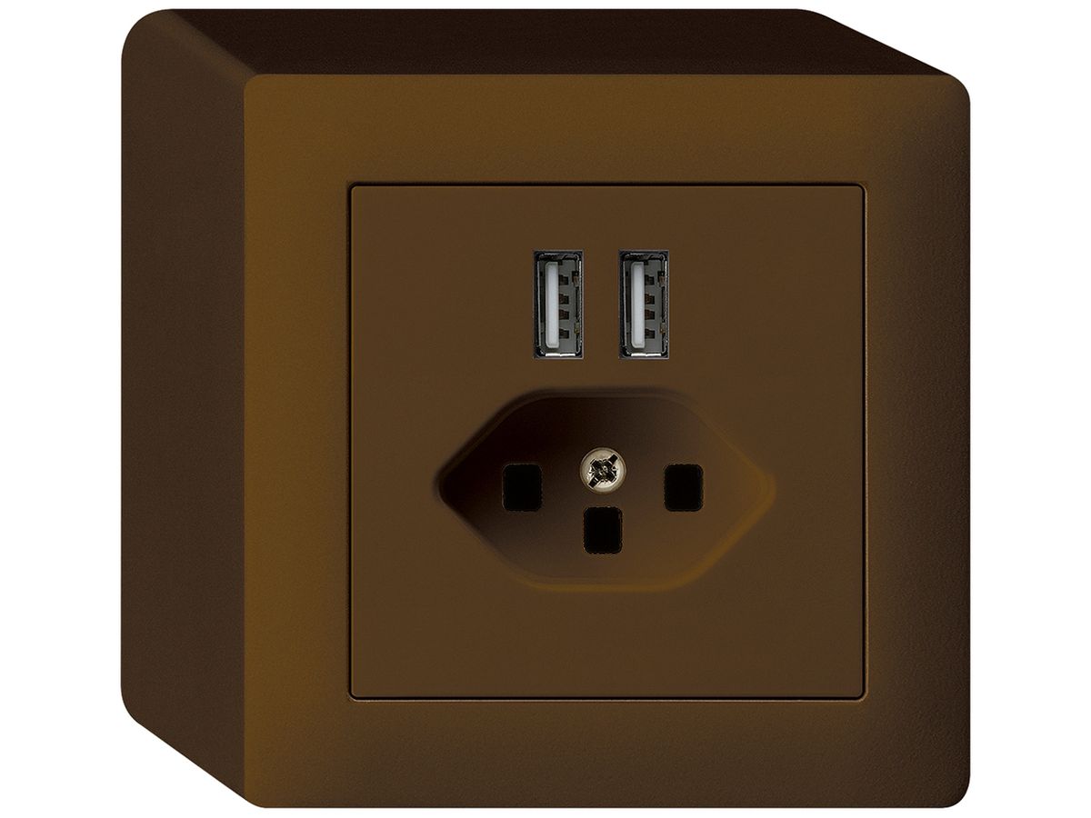 AP-Steckdose 2×USB & T23 kallysto Q 2400mA braun
