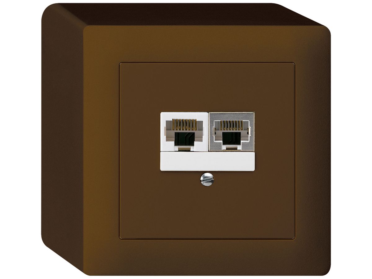 AP-Dose kallysto 2×RJ45s+u getrennt braun
