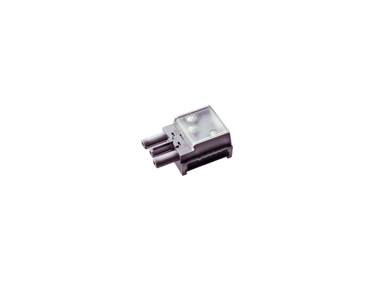 Abzweigdose Woertz für Flachkabel Combi/DALI 3P C1 L2
