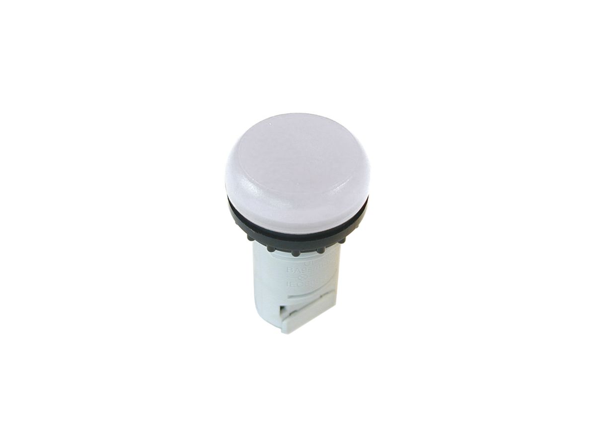 Kopf ETN RMQ zu Signallampe weiss