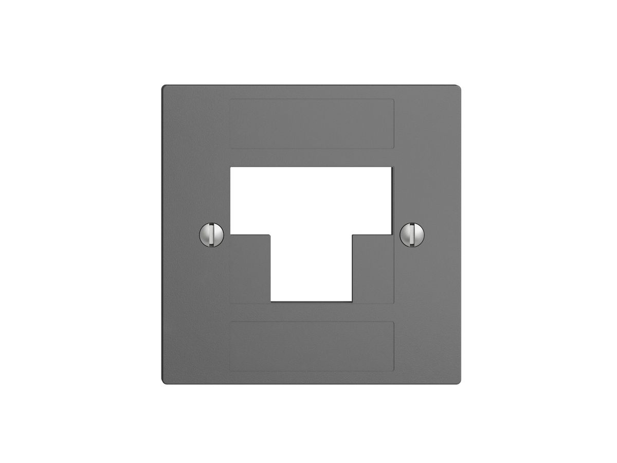 Frontplatte 2×RJ45 ITplus EDIZIOdue dunkelgrau
