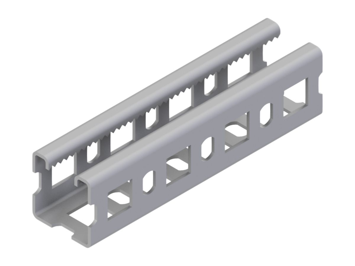 Profilschiene Lanz Multifix 50×50mm 3000mm verzahnt A4