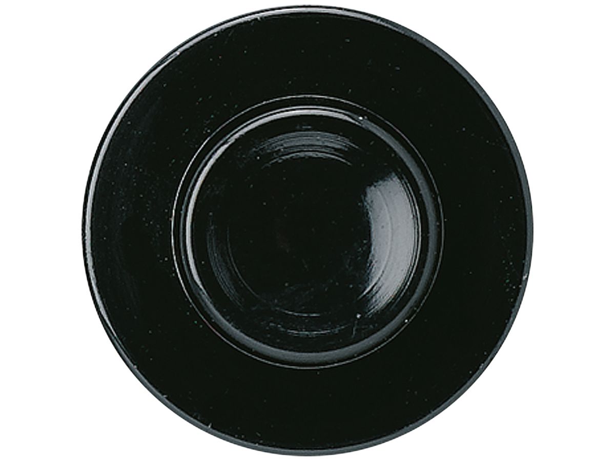 EB-Taster basico 0.7A/250V schwarz