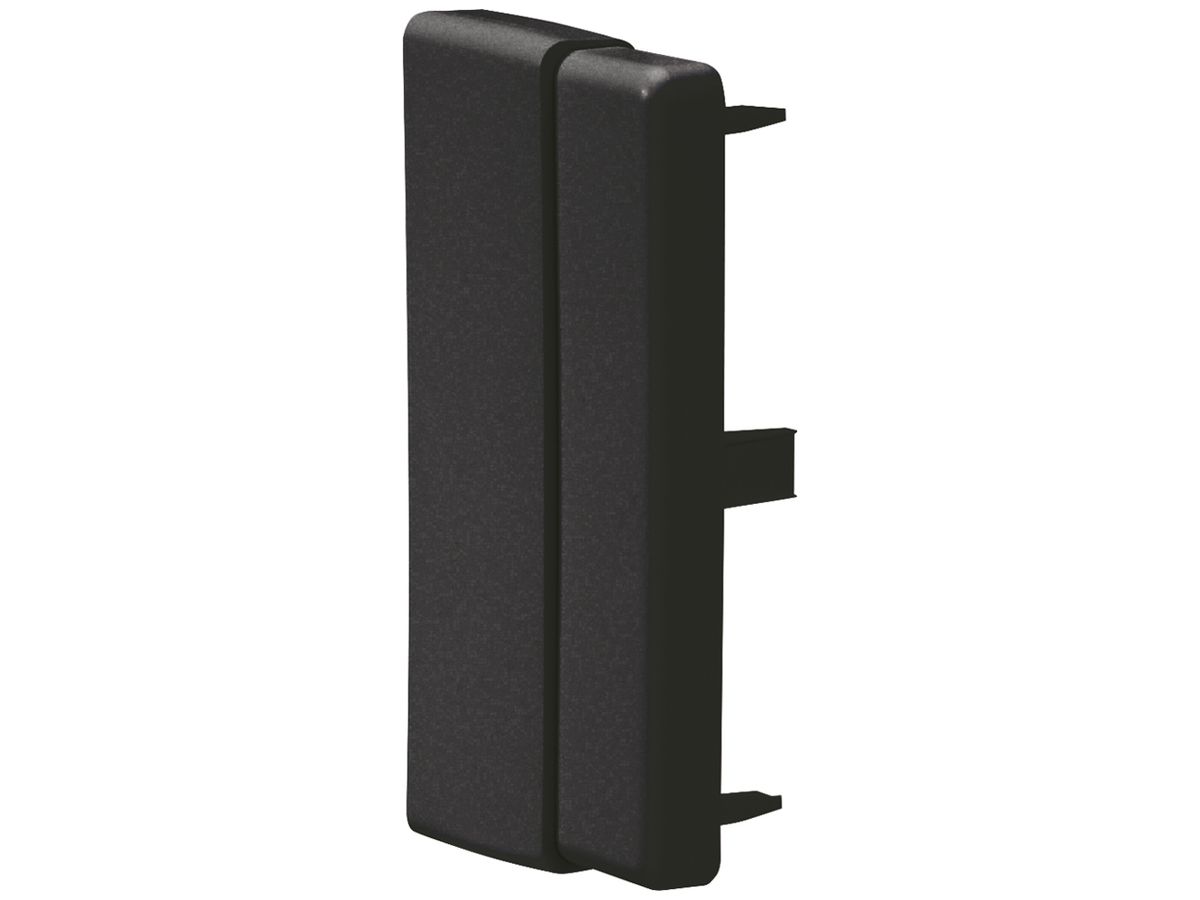 Endstück Hager tehalit.LF einstellbar (40/60)×110mm schwarz IP30