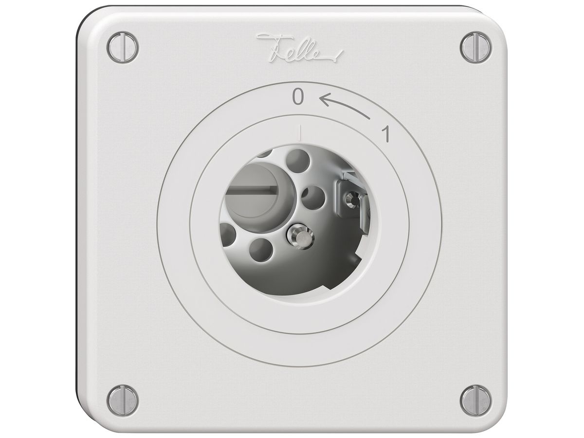 Schlüsselschwenktaster NEVO SNAPFIX® 1P 1NO 16A 400V 0<-1 ws