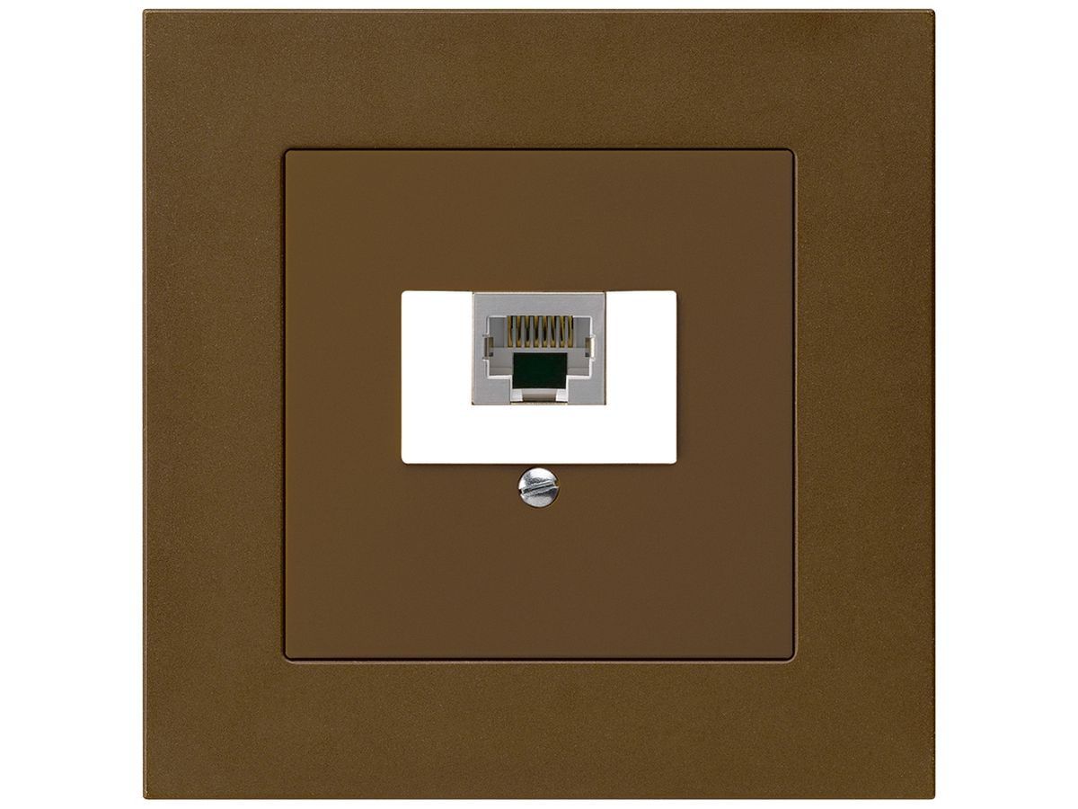 UP-Dose kallysto.pro 1×RJ45s braun