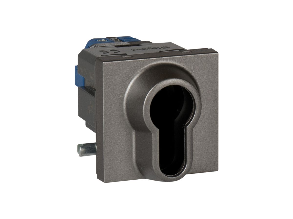 EB-Schlüsselschalter MOS SS/Eur magnesium 2 Module 0-1