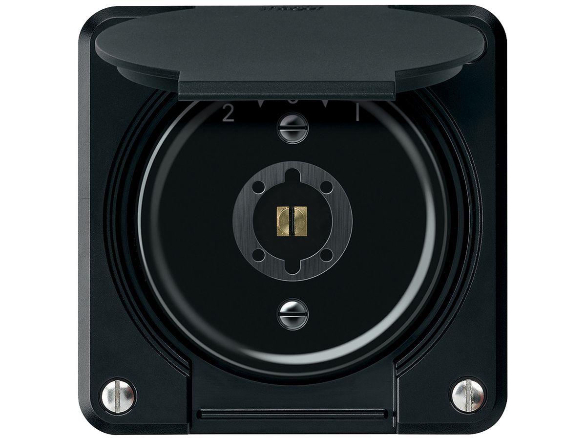 Schlüsselschwenktaster robusto 1P 2NO 2CO 20A 250V 86×86mm schwarz