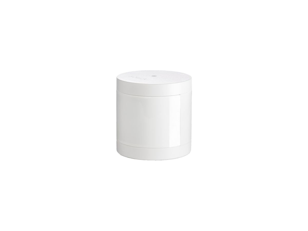 Innenbewegungsmelder Somfy Protect Indoor Motion Sensor