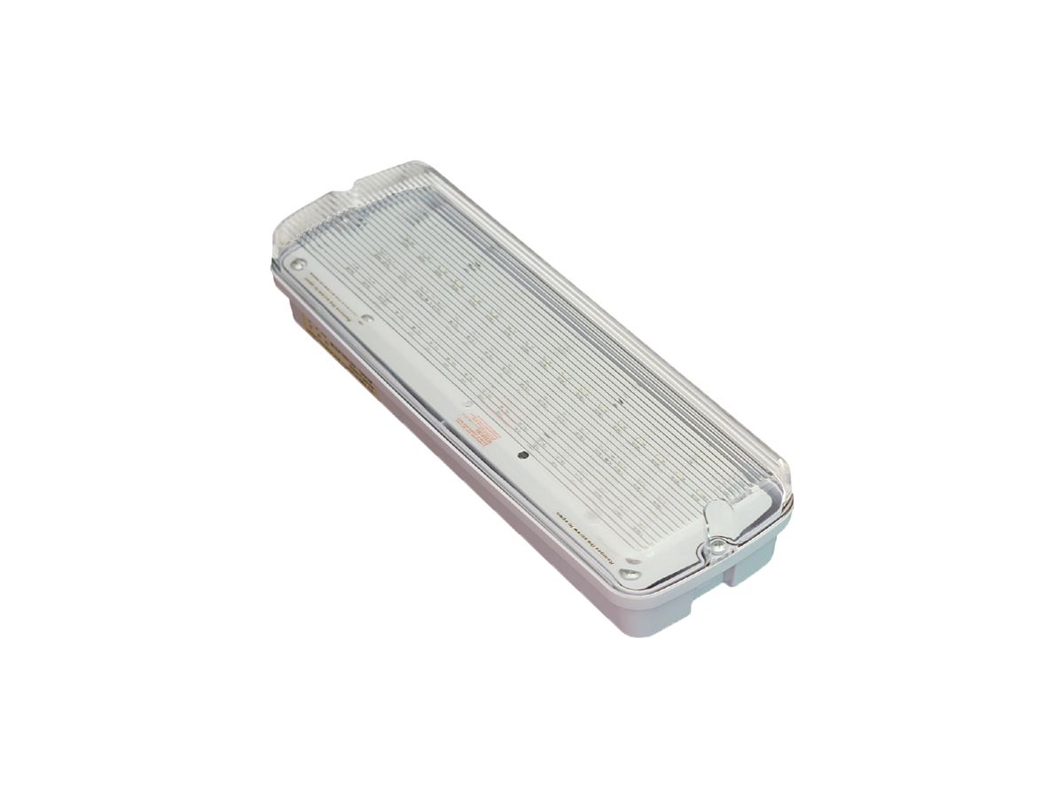 LED-Rettungszeichenleuchte DOTLUX EXIT IP65 3.8W 3h DS/BS ST Wand/Decke