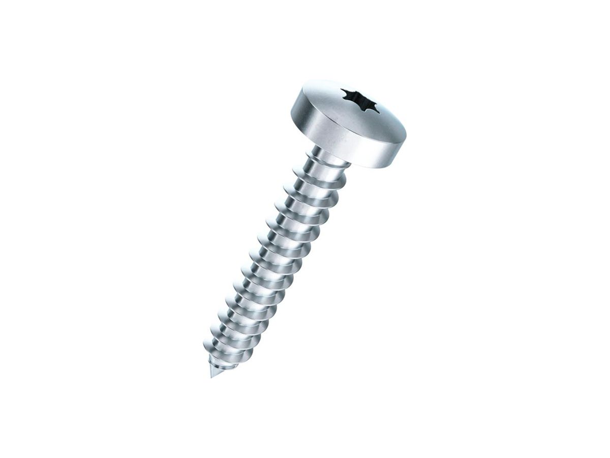 Linsenkopf-Blechschraube FERRONORM TX 25mm Ø4.8×53.7mm Stahl verzinkt