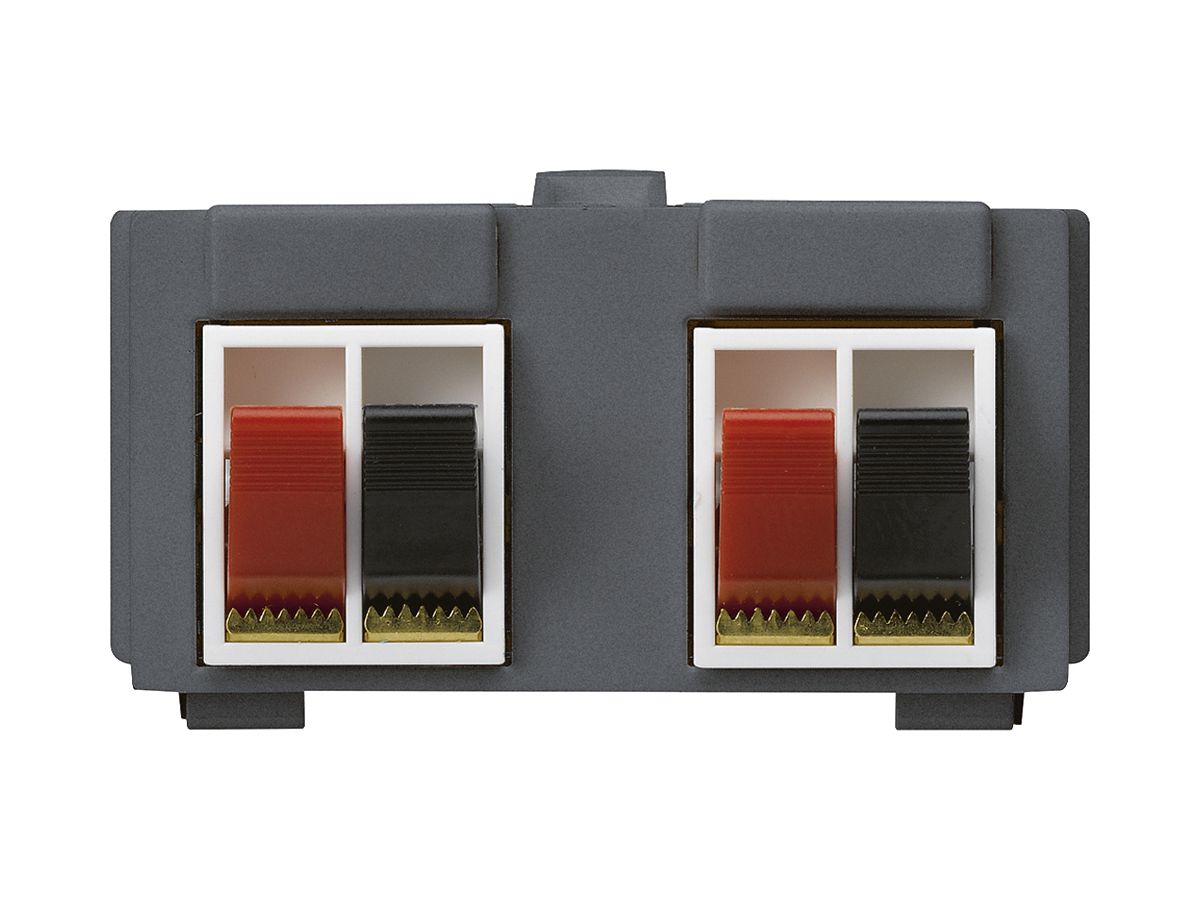 Multimedia-Modul M3 mit 4×LS-Klemme rot/schwarz kallysto anthrazit