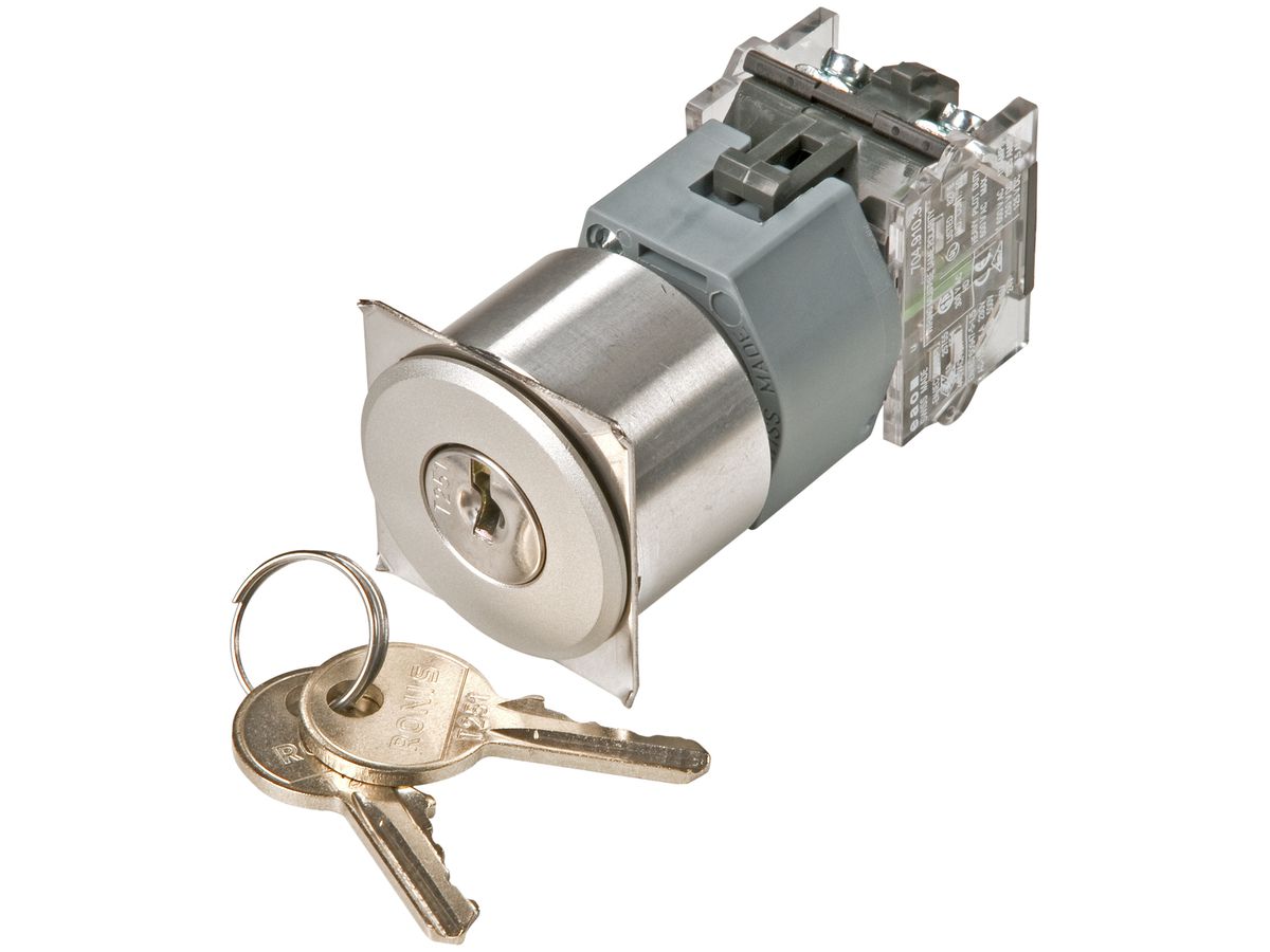 EB-Schlüsselschalter EAO04 Aluminium rastend-0-rastend Abzug I+0+II P65