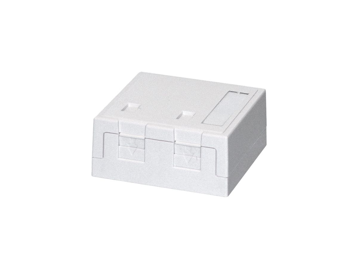 AP-Anschlussdose KS Dätwyler weiss für 2 Module mit Staubschutz