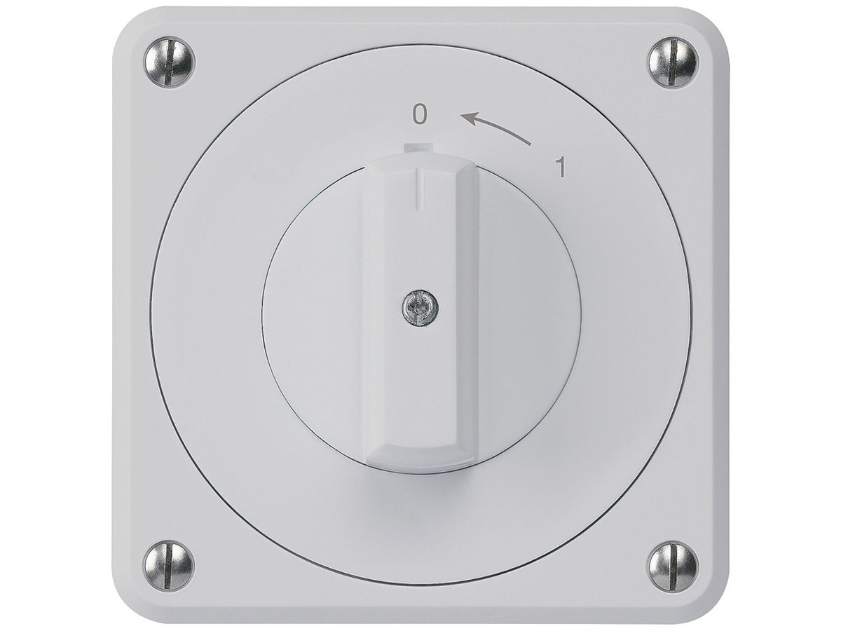UP-Schwenktaster robusto IP55 grau 1P für Kombination