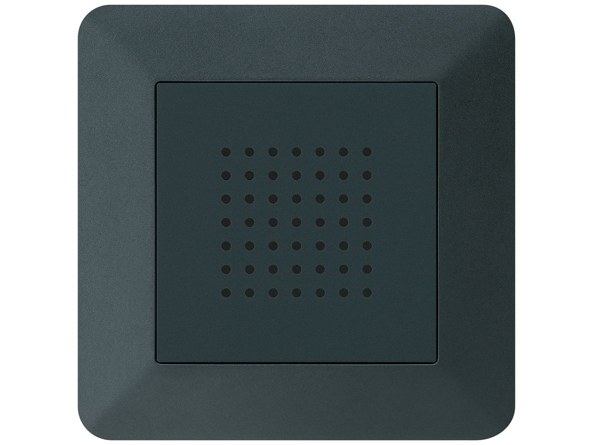 UP-Türgong kallysto.trend 12V schwarz