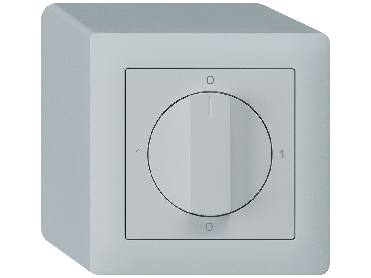 AP-Drehschalter kallysto 2/1L hellgrau 0-A-0-M mit Drehgriff