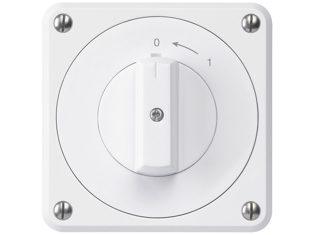 UP-Schwenktaster robusto IP55 weiss 2P