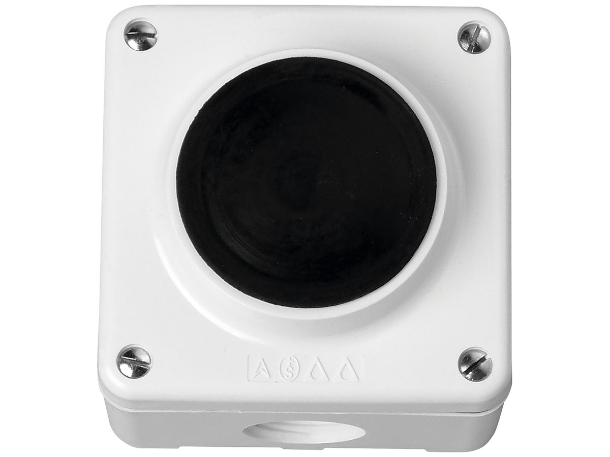 AP-Drucktaster Electro-Mica 1S 10A/250VAC IP54 weiss