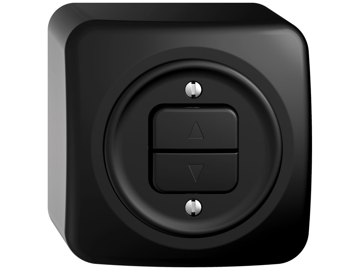 AP-Storentaster STANDARDdue SNAPFIX® 10A 250V 2 Tasten 1 Kanal sz