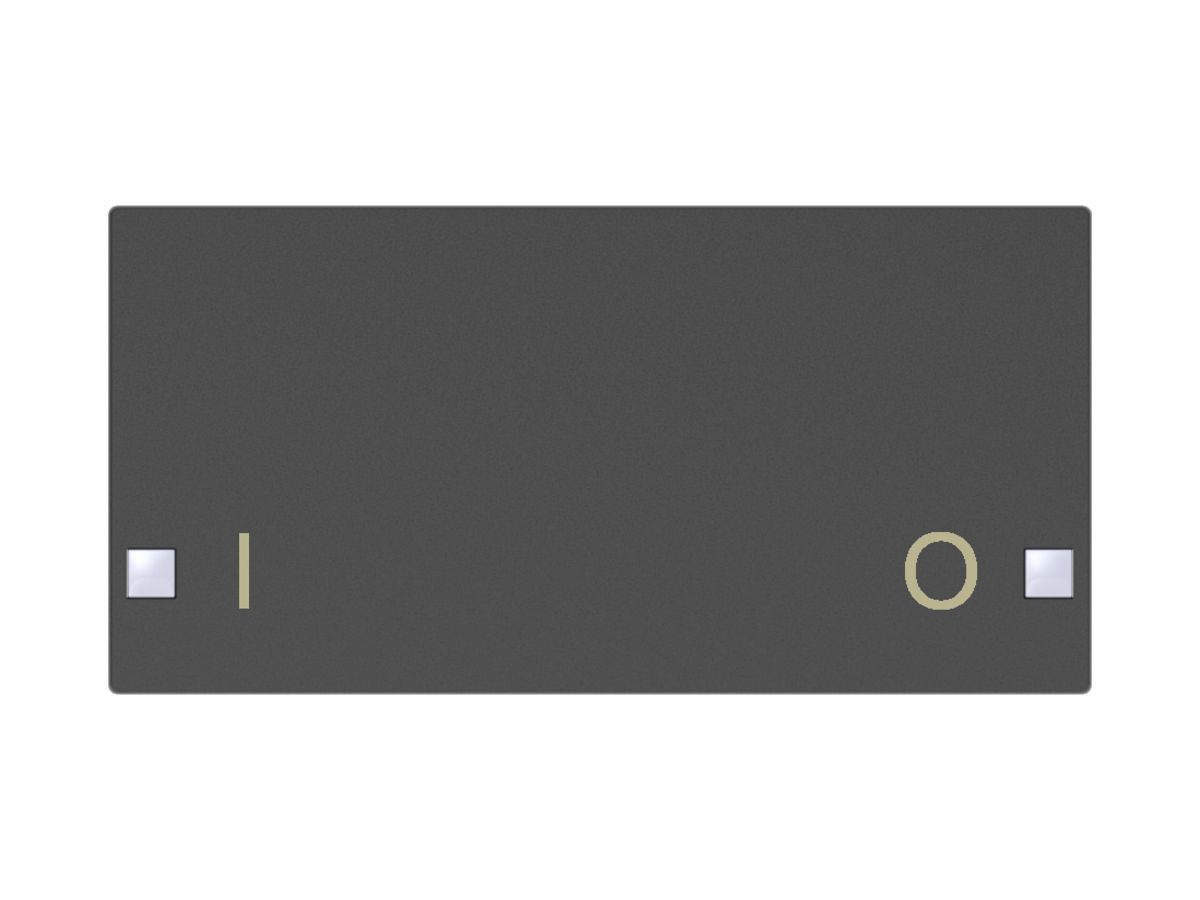 Taste SIDUS 2/4f zu Tastsensor mit Aufdruck I/O, anthrazit