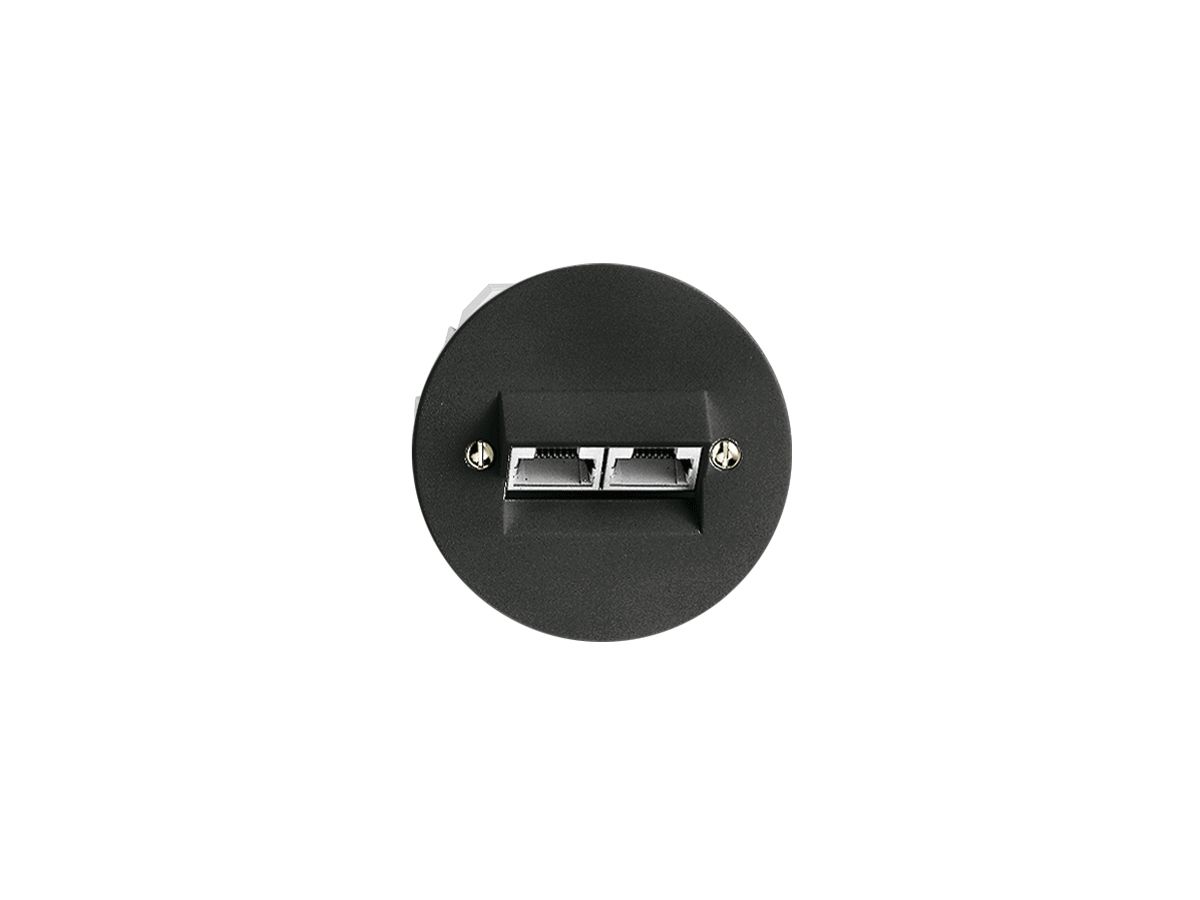 UP-Dose 2×RJ45/s 8P getr.sz ITplus P 58mm