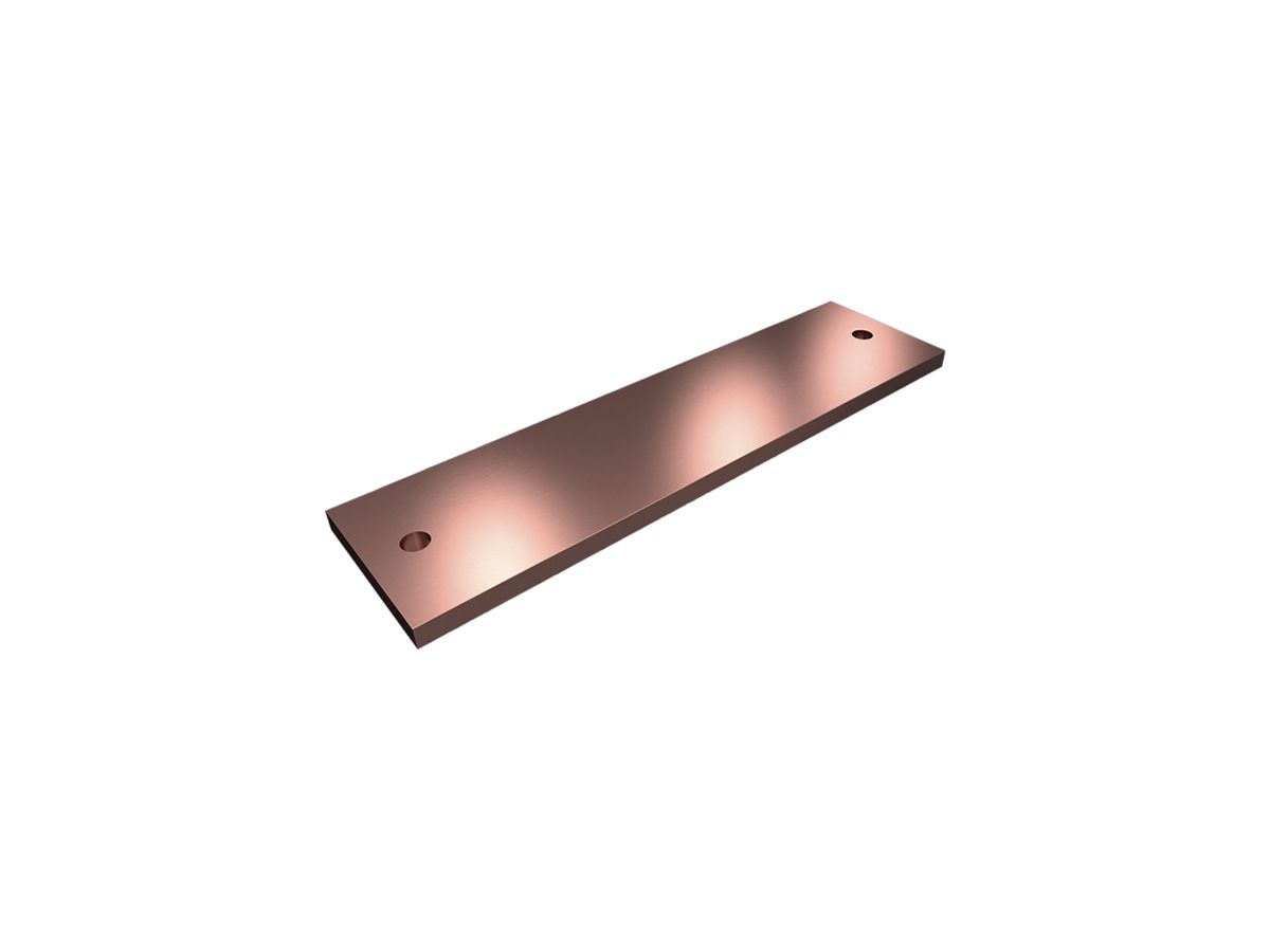 Flachleiter Rittal SV 9686.584 Kupfer E-Cu 300×80×10mm 2Stk