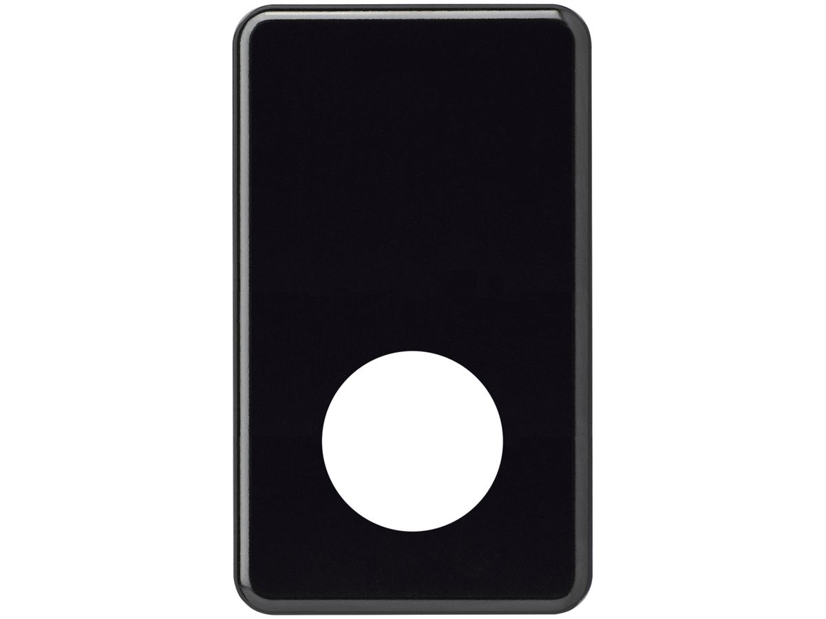 Abdeckplatte basico 2×1 Ø43mm+blind schwarz