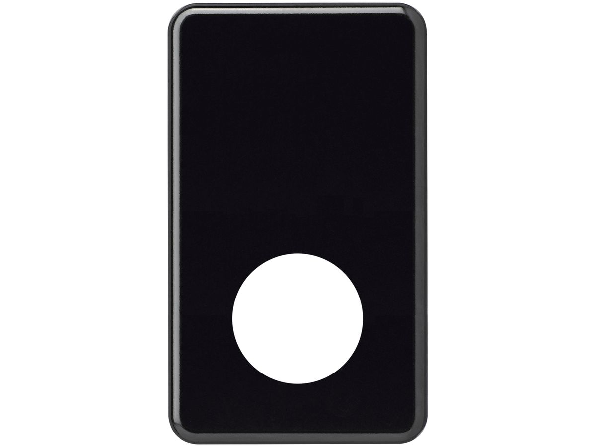 Abdeckplatte basico 2×1 Ø43mm+blind schwarz