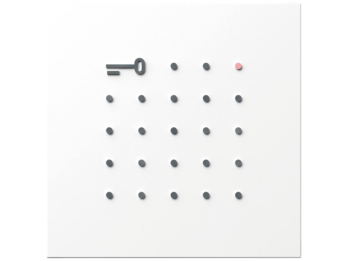 Transponder-Lese-Modul Siedle systemunabhängig 12V AC/DC weiss