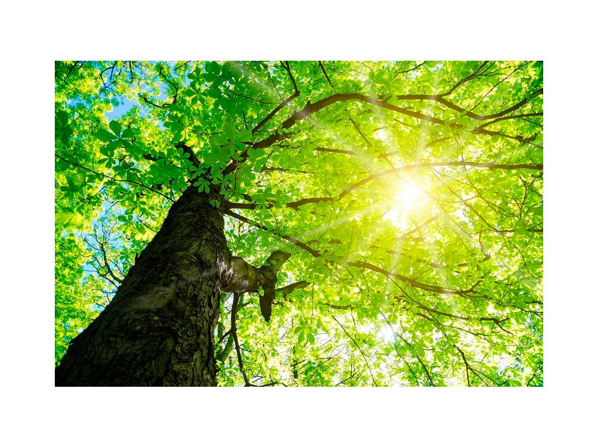 Motivplatte DOTLUX SKYLIGHT Motiv 1 für EB-Panel Raster 1×1 für 620×620