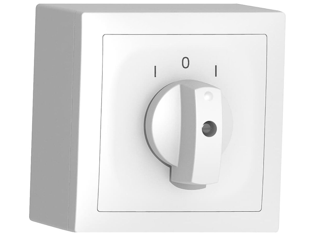 AP-Schwenkkontakt SIDUS A 2×AK weiss