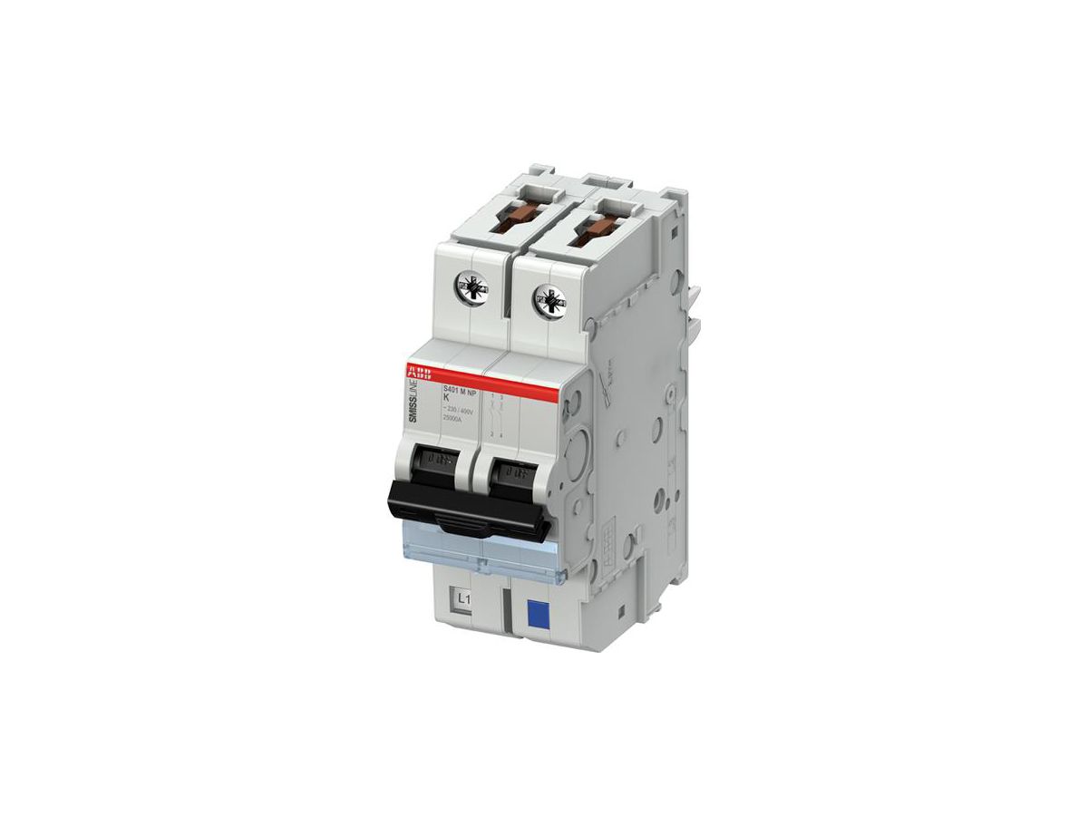Leitungsschutzschalter SMISSLINE TP S 2×63A K 10kA NP