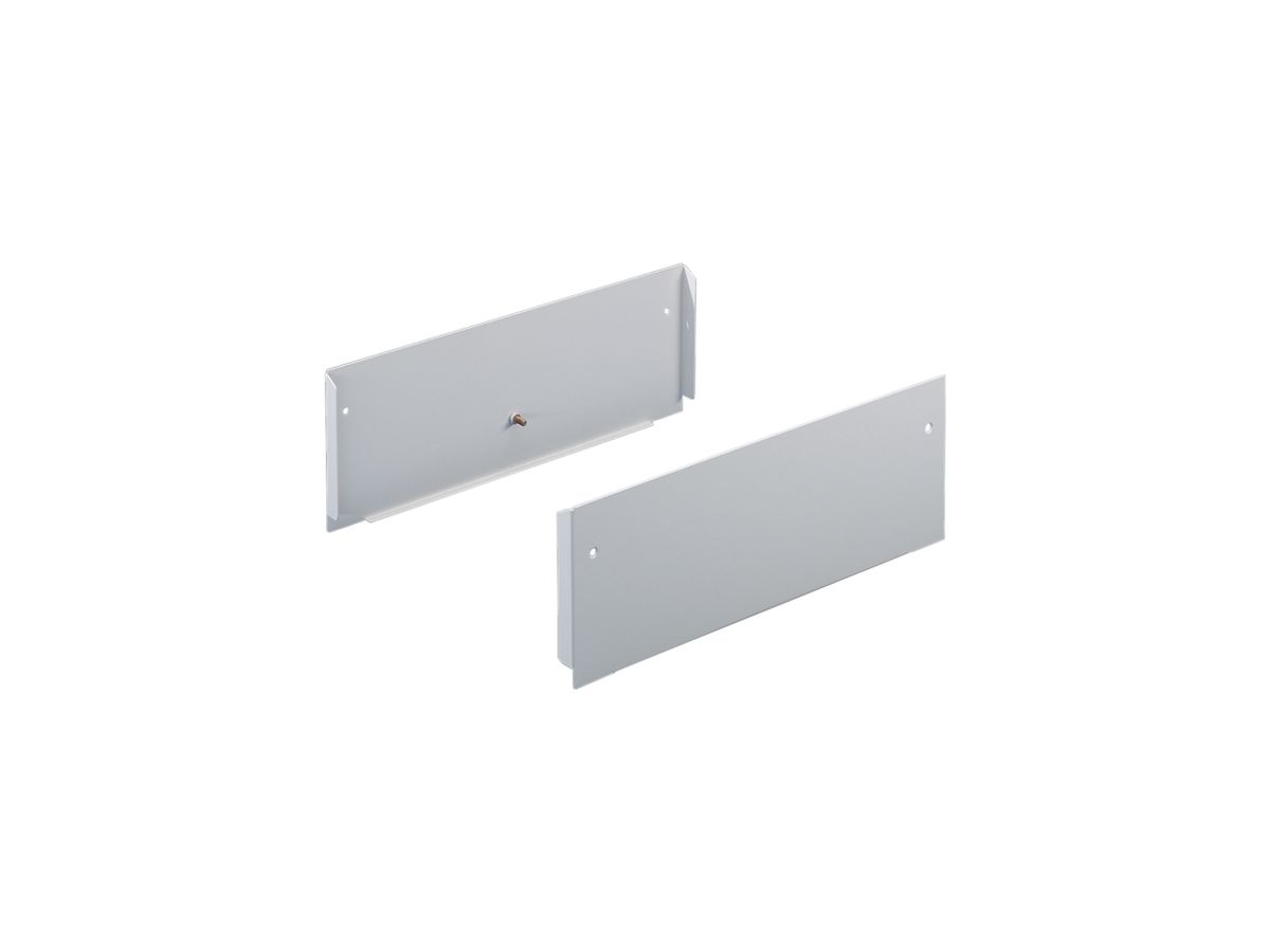 Seitenwand Rittal TS 8600.510 500×200mm für TS Stahl grau 2Stk
