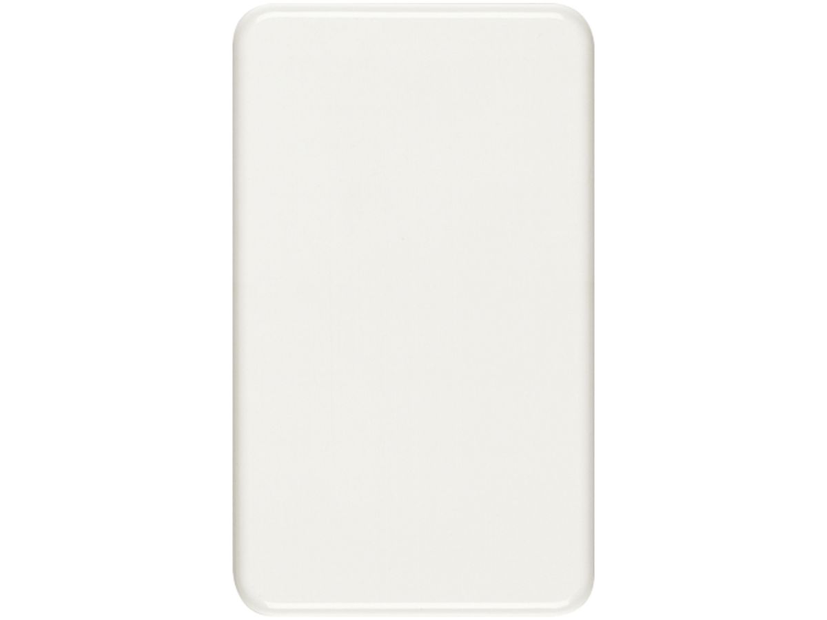 Abdeckplatte 2×I-I blind weiss