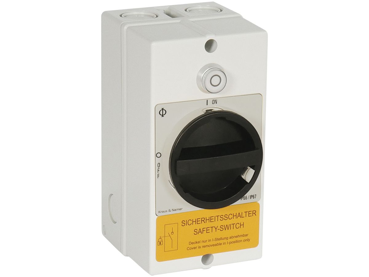 Revisionsschalter K&N für indirekte Abschaltung 1S/1Ö 20A WAT307 LED 230V sz/gu
