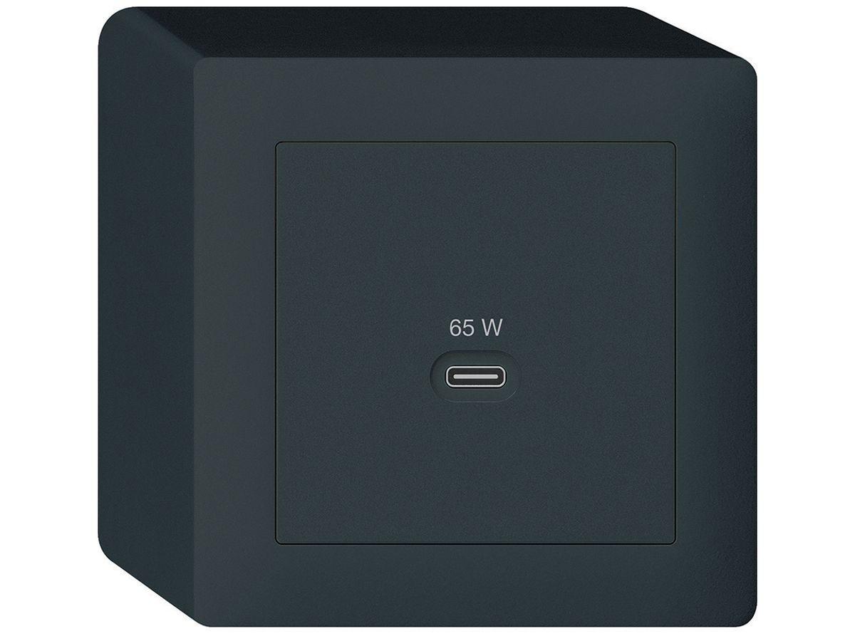 AP-USB-Ladesteckdose Hager kallysto Typ C 65W 3250mA schwarz