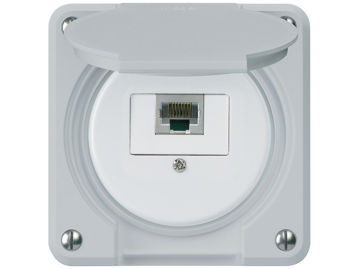 UP-Anschlussdose robusto IP55 grau 1×RJ45/s
