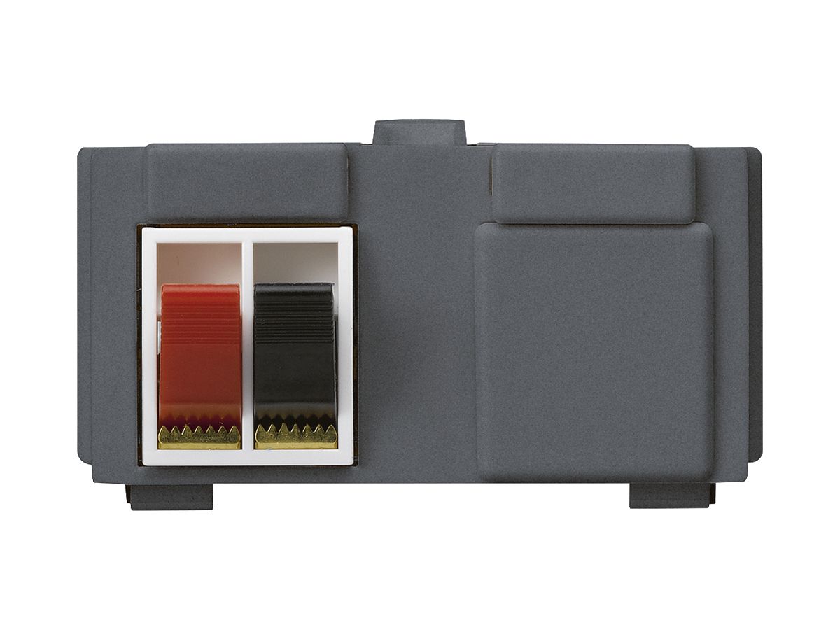 Multimedia-Modul M3 mit 2×LS-Klemme rot/schwarz kallysto anthrazit
