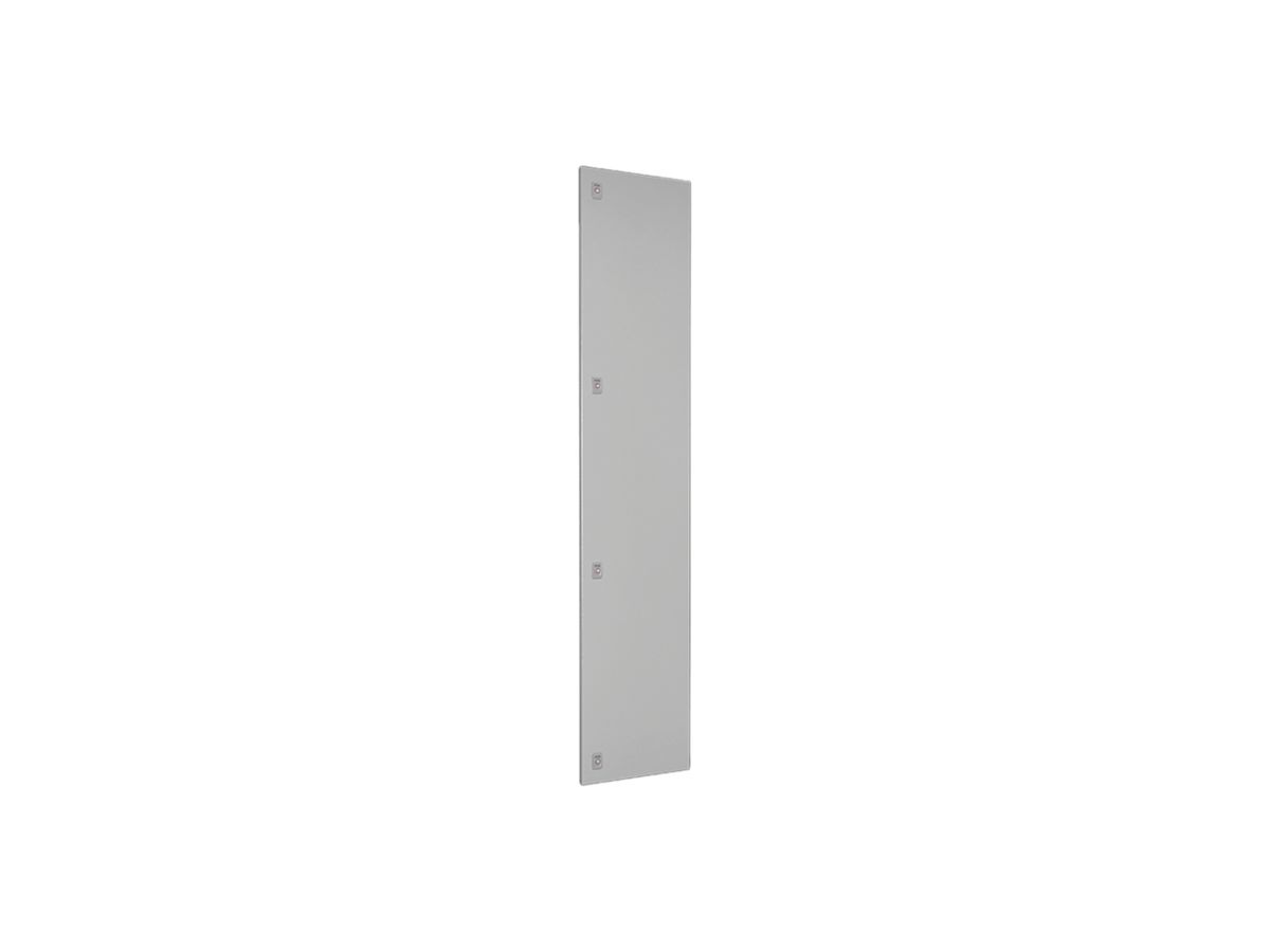 Tür Rittal SV 9682.150 400×2000mm für VX grau IP54