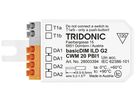 Taster-Interface Tridonic basicDIM ILD G2 CWM 20 PBI1