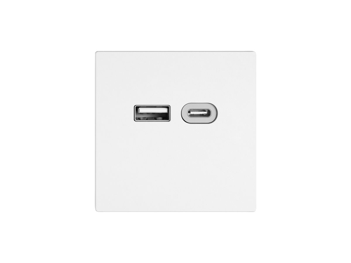USB-Ladesteckdose EDIZIO.liv SNAPFIX® 230VAC 18W 1×USB Typ A 1×USB Typ C ws