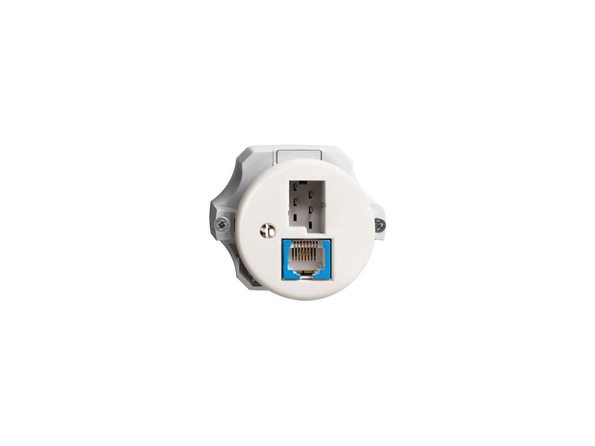 Dose T+T 6P/1×RJ45 DSL-Breitband weiss Standard