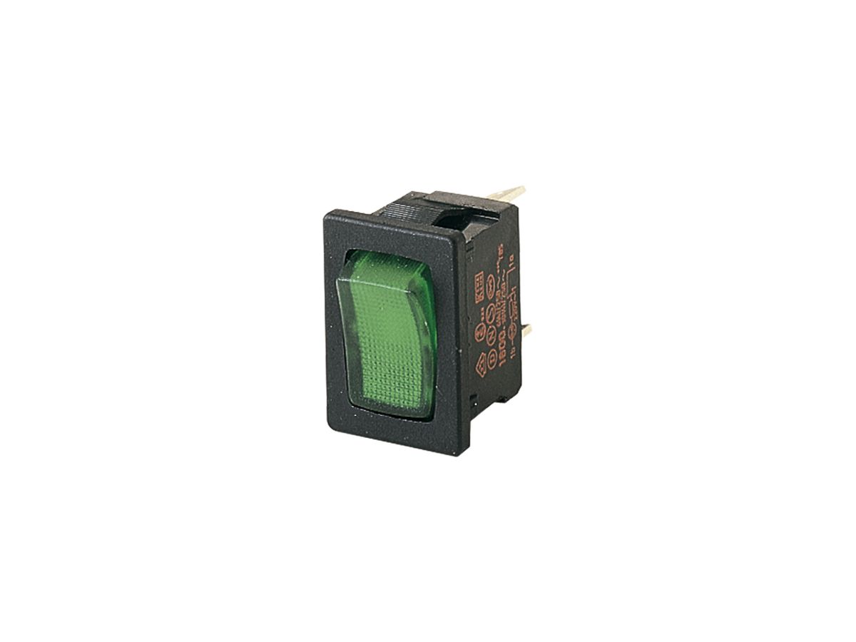 EB-Leuchtwippenschalter Novitronic, 6A/250V 1L, Taste grün