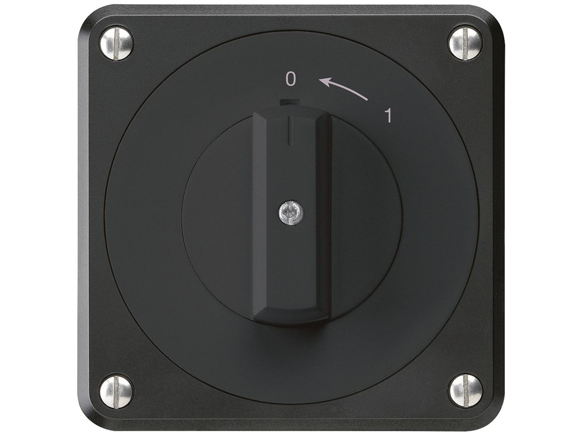 UP-Schwenktaster robusto IP55 schwarz 1P für Kombination