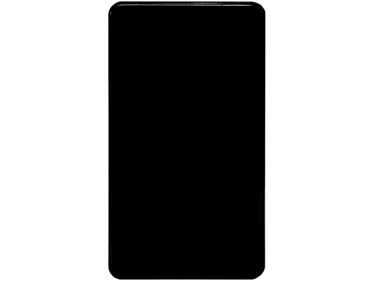 Abdeckplatte 2×II ohne Bohrung schwarz