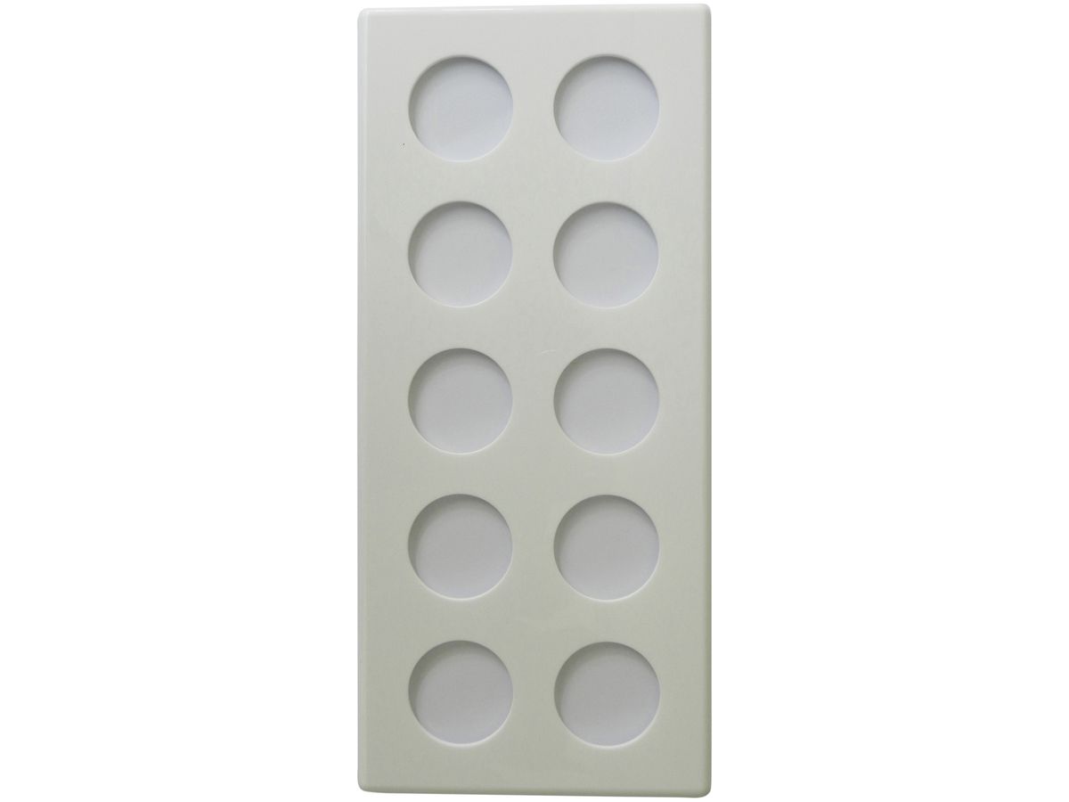 Abdeckplatte 2×5 146×326mm weiss Bohrungen: 10×43mm